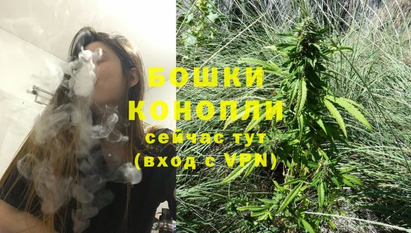 гашик Бронницы
